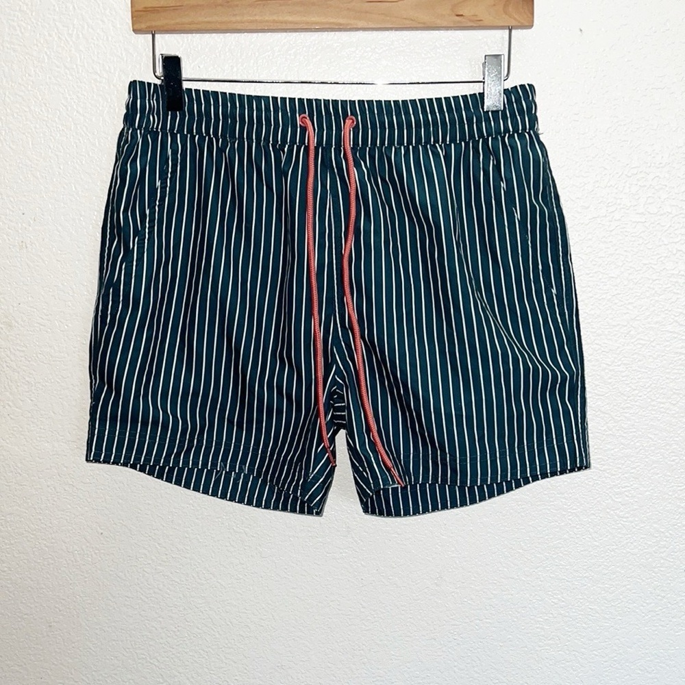 South Beach Blue/Green Teal Striped Lined Swim Trunks New